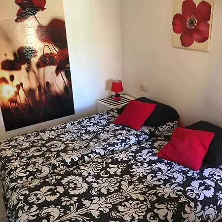 Apartment Pino Grande 2